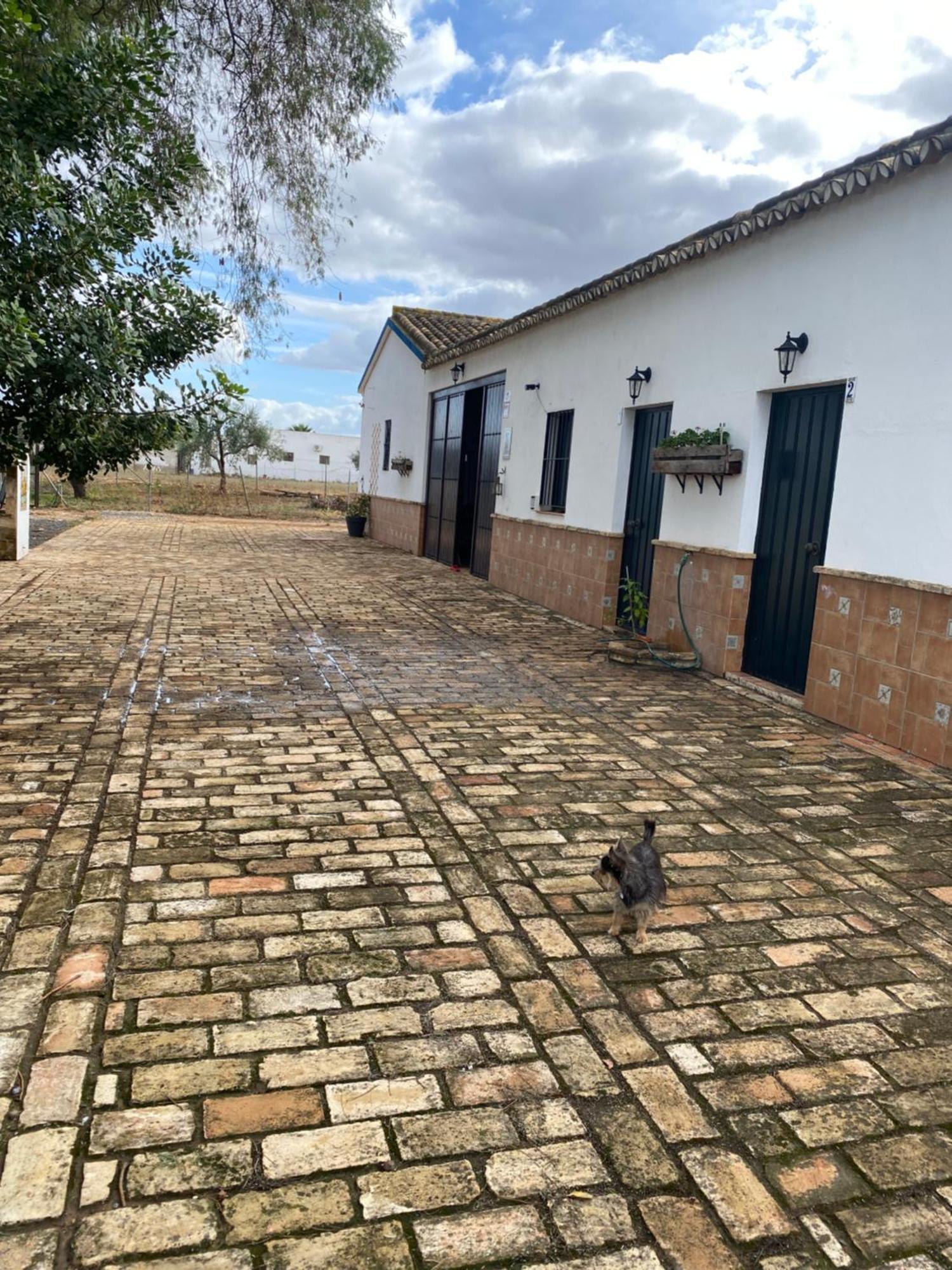 Casa Los Laureles Пилас Экстерьер фото