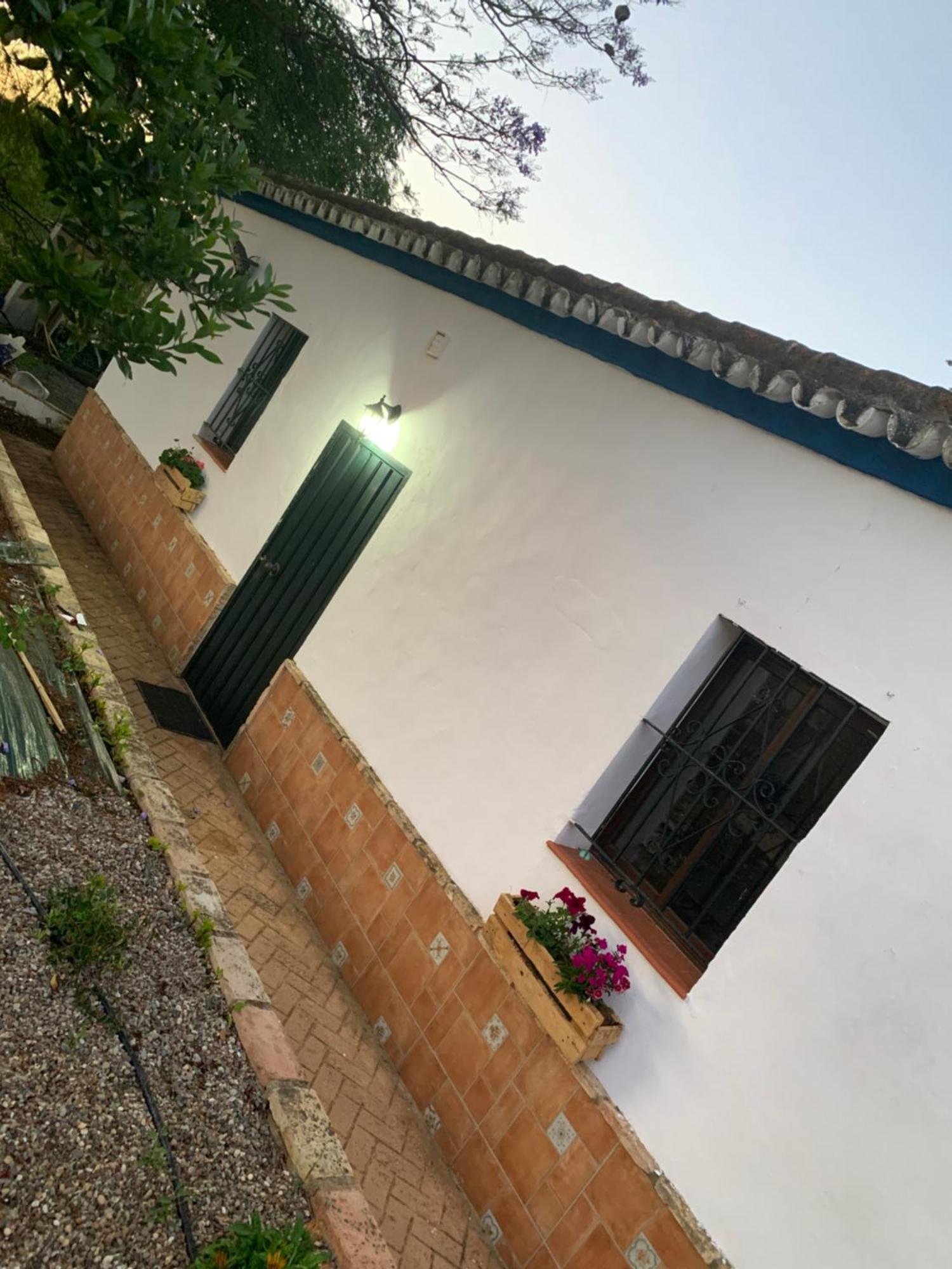 Casa Los Laureles Пилас Экстерьер фото
