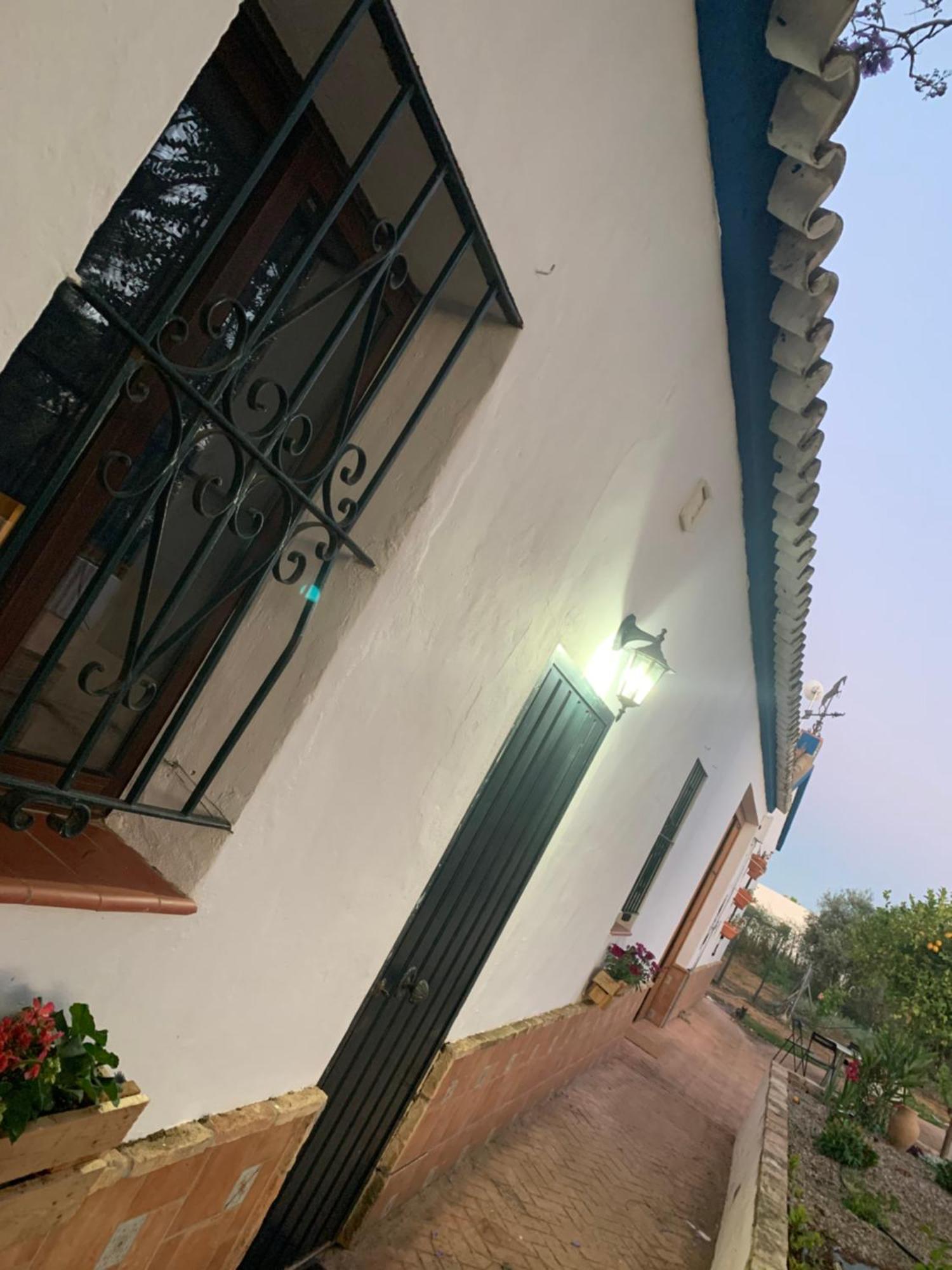 Casa Los Laureles Пилас Экстерьер фото