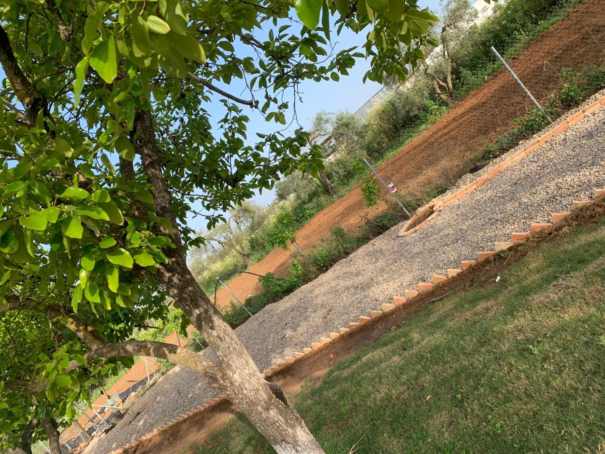 Casa Los Laureles Пилас Экстерьер фото