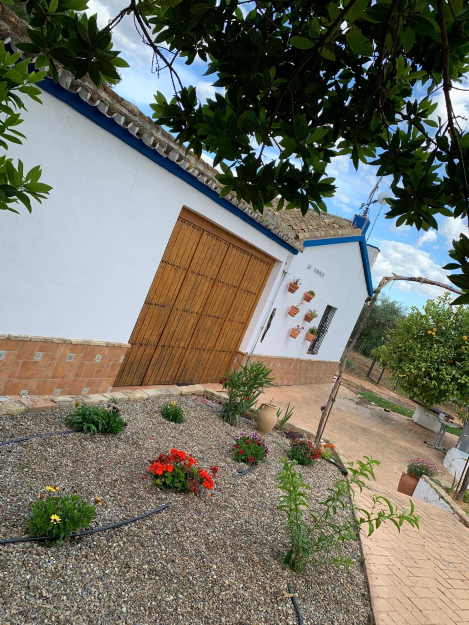 Casa Los Laureles Пилас Экстерьер фото