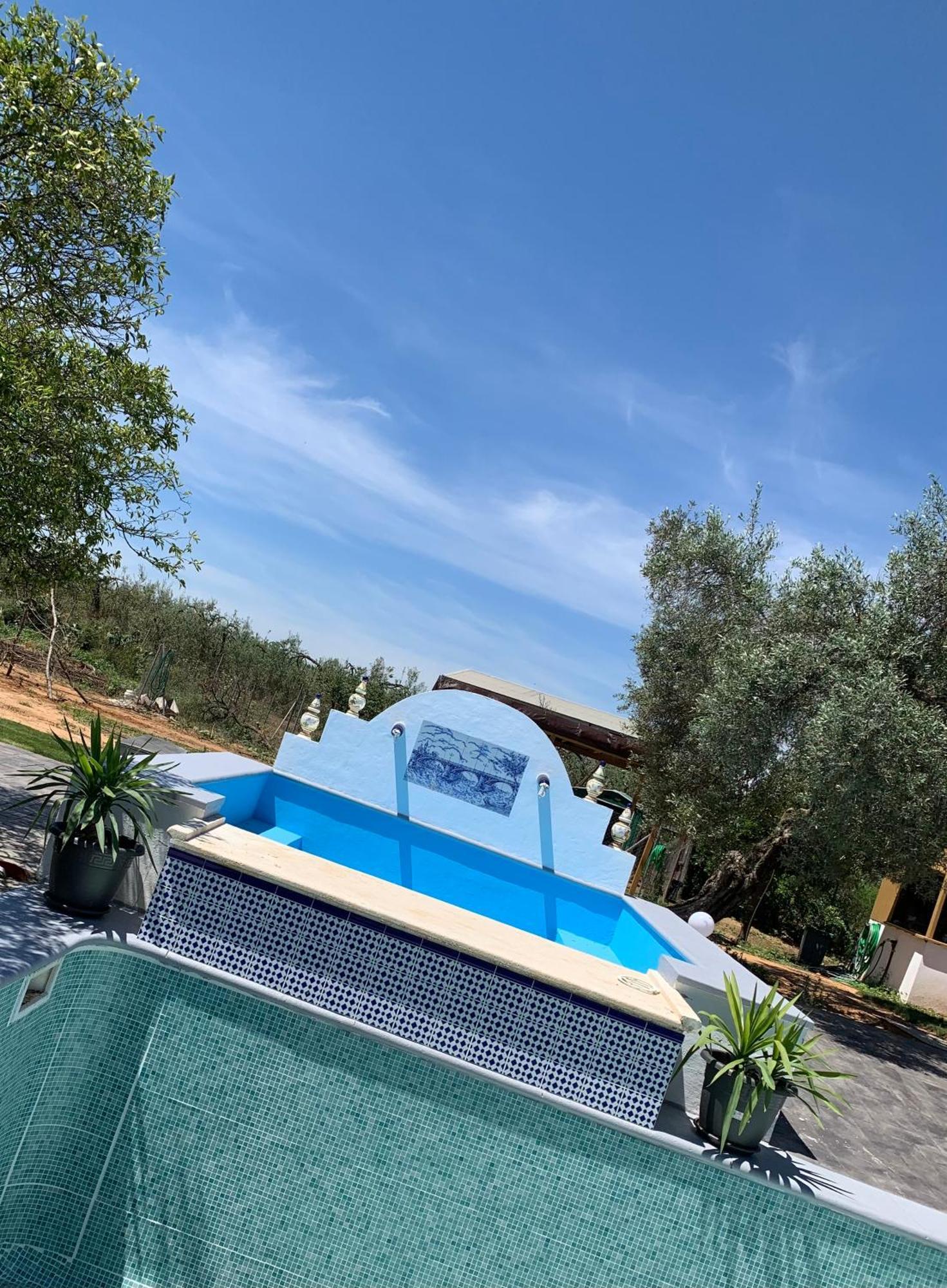 Casa Los Laureles Пилас Экстерьер фото