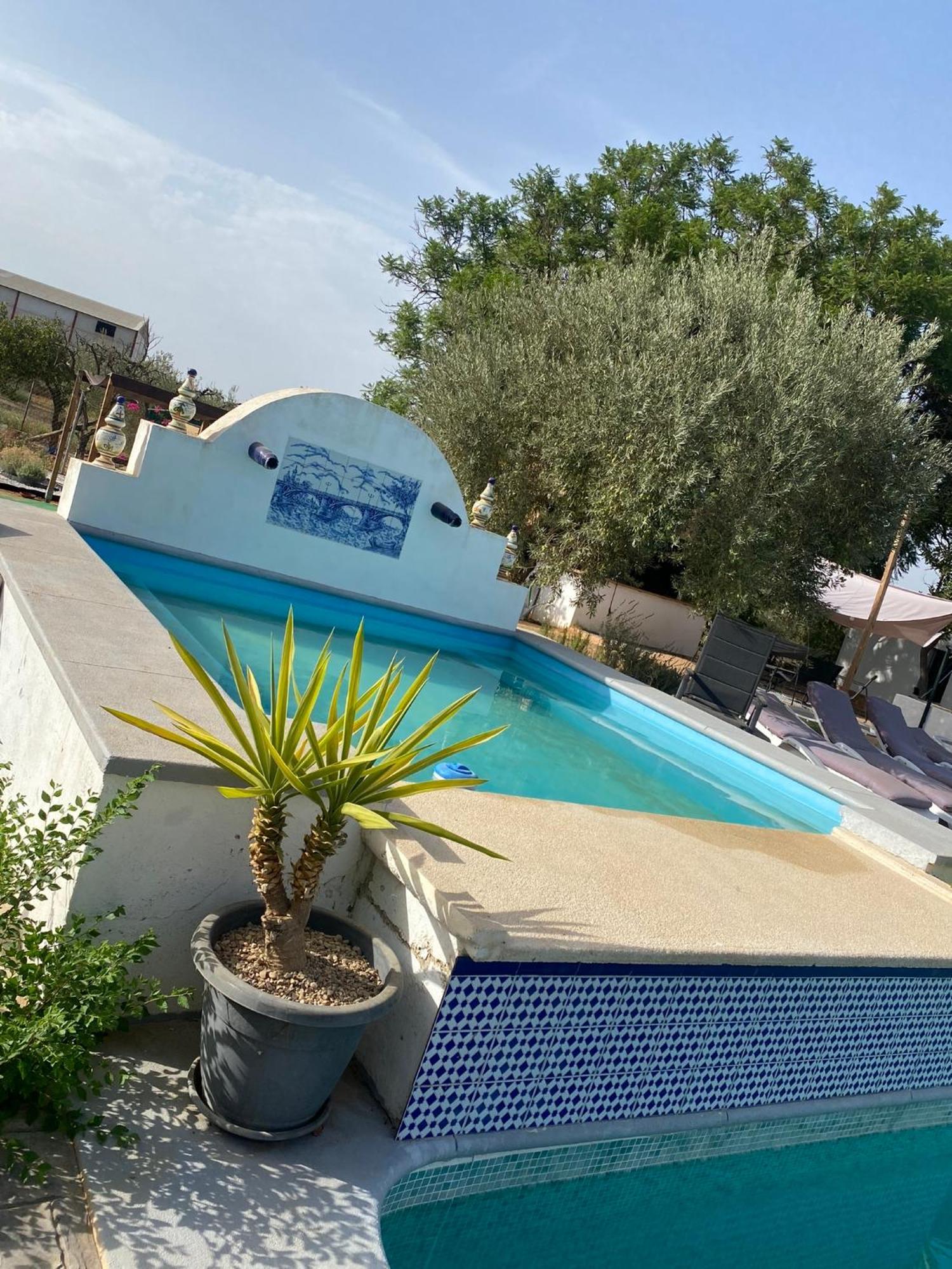 Casa Los Laureles Пилас Экстерьер фото